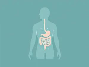 Menselijk torso silhouet met darmkanaal in koraalroze lijnen en stress indicatoren bij maag, illustratie darm-brein verbinding