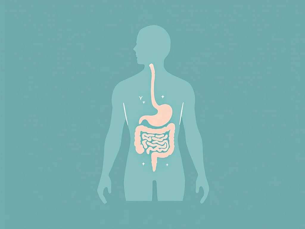 Menselijk torso silhouet met darmkanaal in koraalroze lijnen en stress indicatoren bij maag, illustratie darm-brein verbinding
