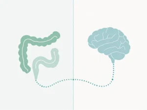 Minimalistisch diagram van darm-hersenas met groene darmkrommen en blauwe hersencontouren verbonden door stippen