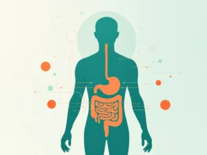 Menselijke silhouet met verlicht spijsverteringssysteem in oranje en energielijnen die darm-hersenverbinding tonen