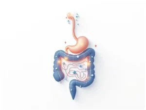 Dwarsdoorsnede menselijk spijsverteringsstelsel met gloeiende bacteriën als blauwe en groene bollen, verbonden door pijlen