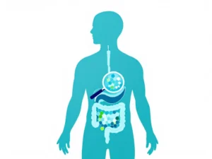 Menselijk torso silhouet met hexagonale patronen in het spijsverteringssysteem, vergrootglas en laboratorium buisjes