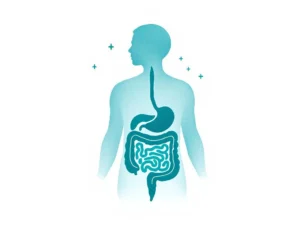 Minimalistisch medisch diagram van het spijsverteringssysteem in zachte blauwtinten met wellness-iconen