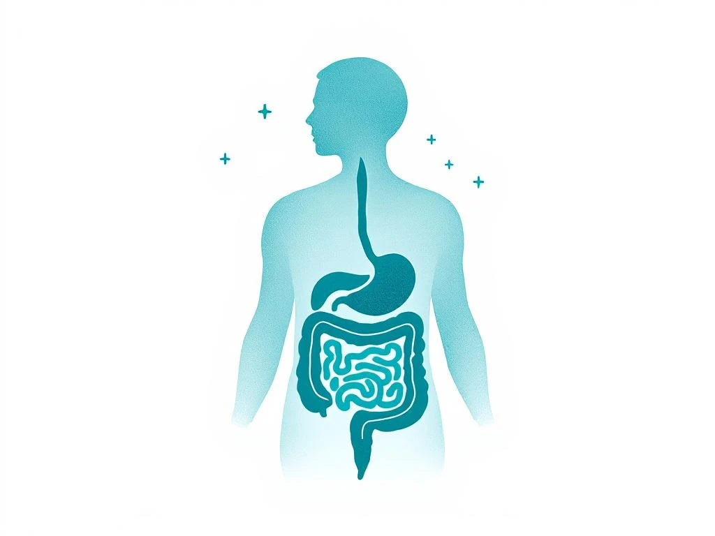 Minimalistisch medisch diagram van het spijsverteringssysteem in zachte blauwtinten met wellness-iconen