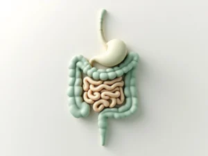 Gestileerd spijsverteringssysteem in zachte groene tinten met geometrische vormen op witte achtergrond voor darmgezondheid