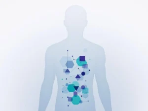 Menselijk torso silhouet in blauwgrijs met paarse en groene geometrische vormen die emotionele spanningspunten weergeven