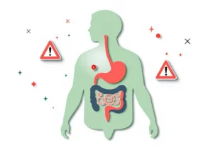 Gestileerd spijsverteringssysteem in zachte groentinten met rode waarschuwingssymbolen voor darmgezondheid begeleiding