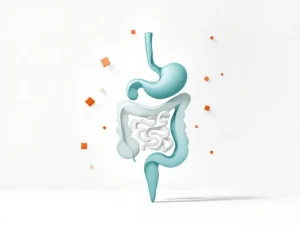 Minimalistisch medisch diagram van spijsverteringsstelsel in zachte teal met oranje gezondsheidsindicatoren op witte achtergrond