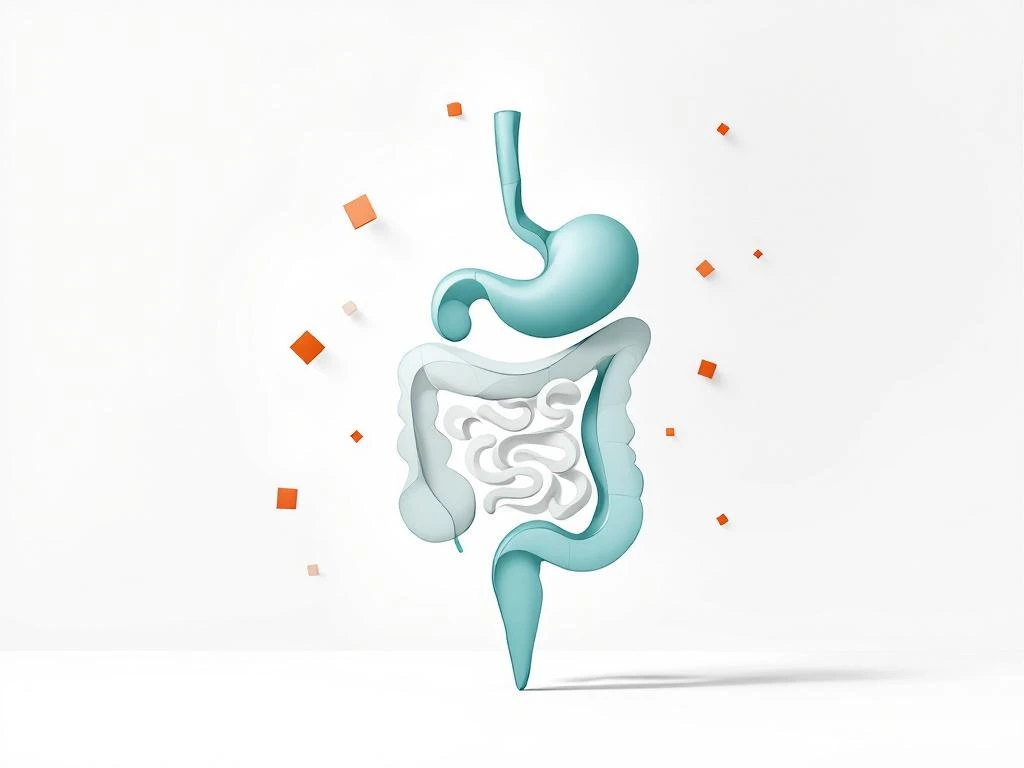 Minimalistisch medisch diagram van spijsverteringsstelsel in zachte teal met oranje gezondsheidsindicatoren op witte achtergrond