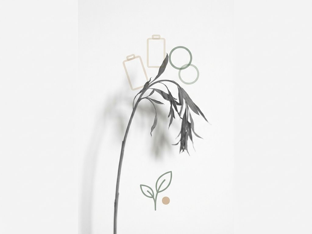 Verwelkte plant silhouet in grijstinten op witte achtergrond met geometrische vormen, symboliseert vermoeidheid en genezing