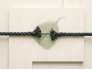 Verstrengeld touw dat drukt op een doorschijnend blad, symboliseert zenuwdruk en immuunkwetsbaarheid, op een lichte stenen ondergrond.
